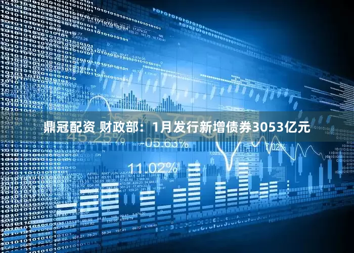 鼎冠配资 财政部：1月发行新增债券3053亿元