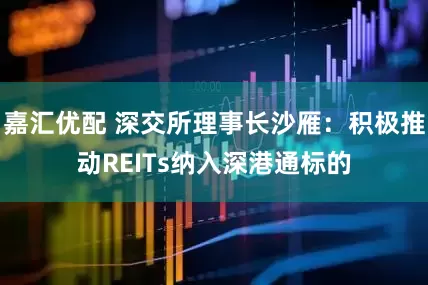 嘉汇优配 深交所理事长沙雁：积极推动REITs纳入深港通标的